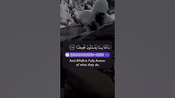 (يَسْتَخْفُونَ مِنَ النَّاسِ وَلَا يَسْتَخْفُونَ مِنَ اللَّهِ ..) القارئ: أحمد حمادي