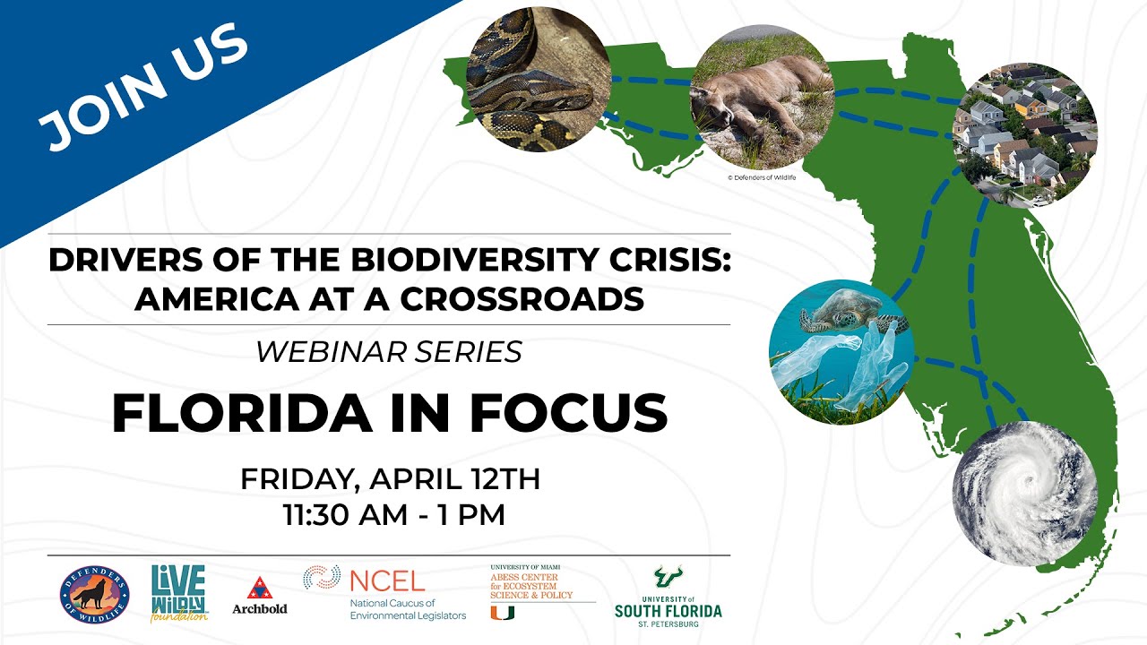 WEBINAR: Drivers of the Biodiversity Crisis: America at a Crossroads ...
