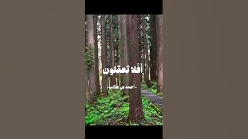 احمد بن طالب / اتأمرون الناس بالبر وتنسون أنفسكم/ #قرآن #المصحف #تلاوات #تلاوة #quran #اكسبلور #ترند