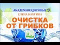 Грибки и паразиты (Candida, кандида). Как избавиться. Методы очистки | #ЕленаБахтина