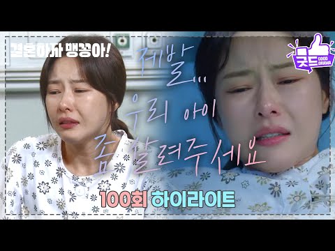 [<strong>100화</strong> 하이라이트] ＂제발... 우리 아이 좀 살려주세요＂ 박하나, 응급실행!🚨 유산 위기 속 아이의 운명은? [결혼하자 맹꽁아!] | KBS 250227 방송
