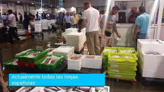 La lonja de El Puerto  - Segundas ventas
