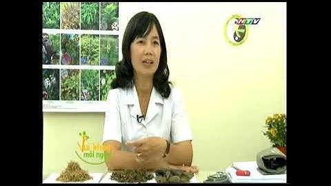 Tác dụng và lợi ích của cây bồ công anh