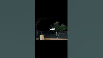 قرآن كريم اكتب شي تؤجر عليه🤍 #اللهم_انك_عفو_تحب_العفو_فاعف_عنا #لا_حول_ولا_قوة_الا_بالله #اكسبلور
