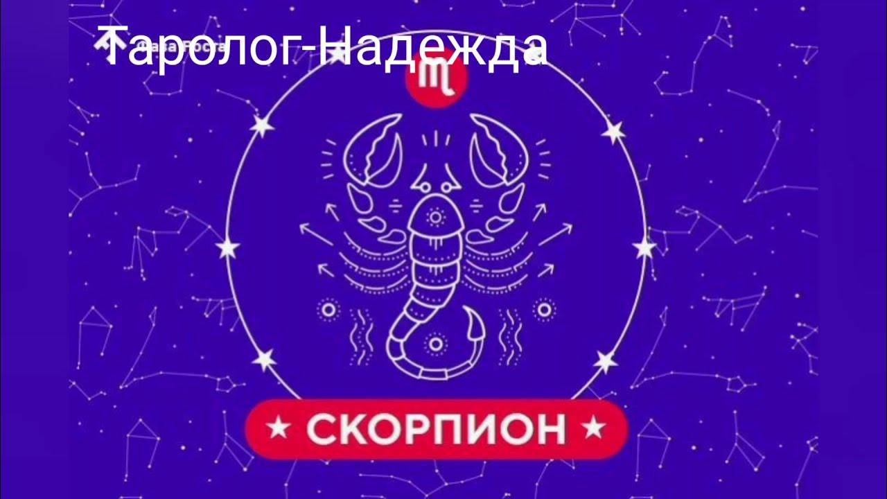 Скорпион гороскоп на сентябрь октябрь. Скорпион гороскоп на сентябрь октябрь