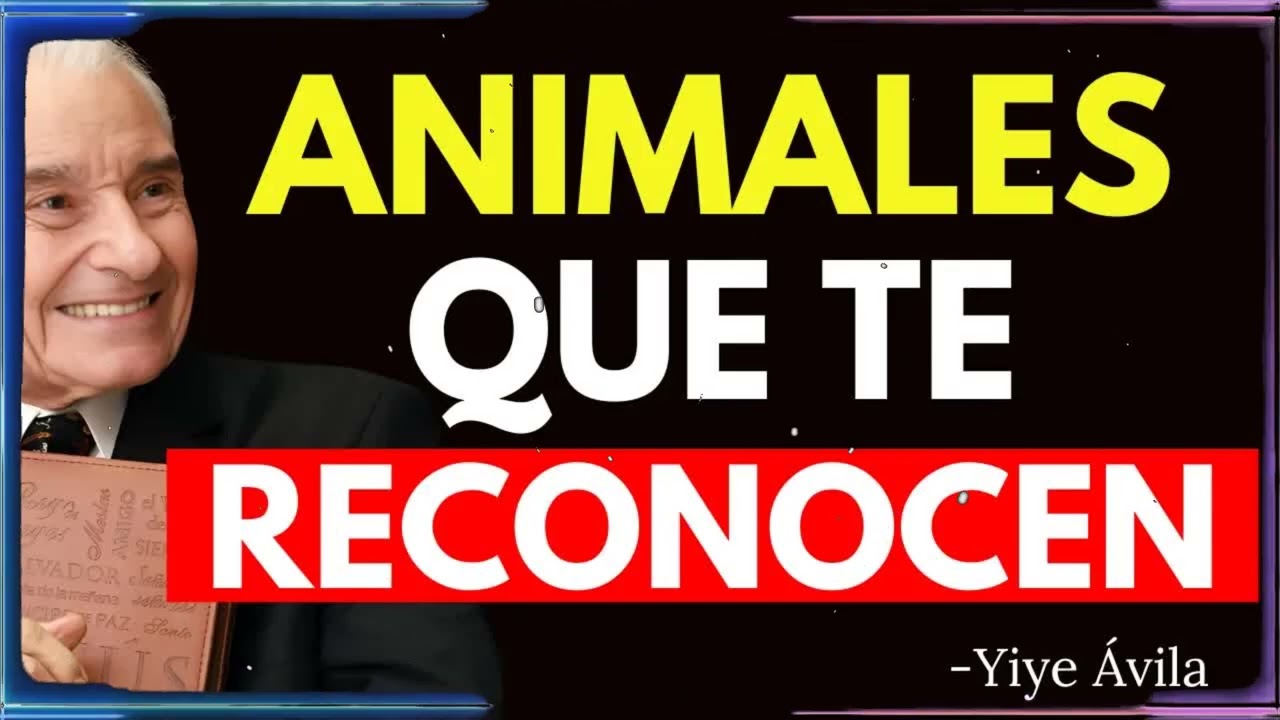 8 ANIMALES que RECONOCEN a los ELEGIDOS de DIOS ¡No lo Ignores! | Yiye Ávila Enseñanza