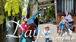 専業主婦vlog🍃念願の高千穂峡🚣⛰️天岩戸神社、そば処天庵ランチ、上乃裏洋食のランチ🍽️熊本ランチ、上乃裏通り、3歳男の子👦🏻高千穂ボート、母の日、鶴屋百貨店、ほっともっと、主婦vlog、熊本生活