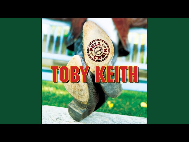 Toby Keith - You Didn't Have as Much to Lose