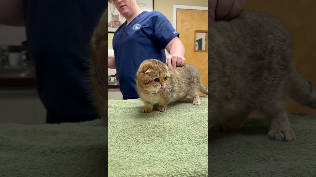 It’s been a tough week