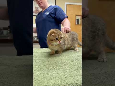 It’s been a tough week