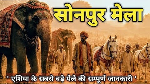 Sonpur Mela 2025 Full Travel Guide | सोनपुर बिहार  | Complete Tour| Theatre update 