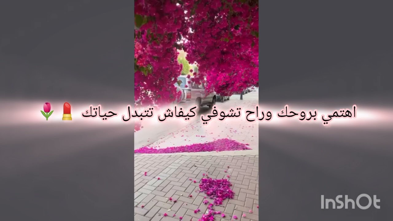 روتين الأنوثة الكامل: جمال، نضافة وثقة بالنفس 💋🧴نصائح ذهبية لكل مراة تحب تبان ديما تهبل 😍🔥