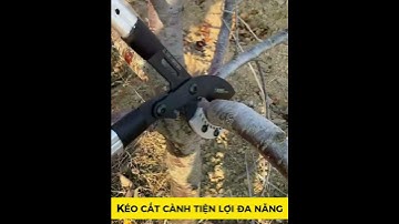 Kéo Cắt Cành Cường Lực