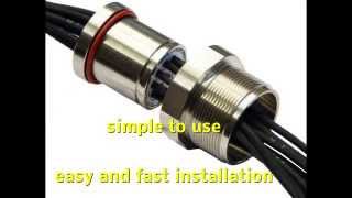 Build Up Of An Ex E And Ex D Box Combination With A Twin Path Line Bushings