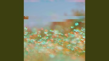 Background for Content Experiences