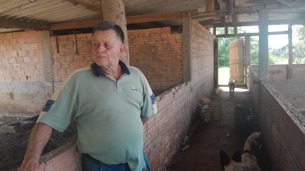 AS CRIAÇÕES DO INTERIOR - BURI- SP