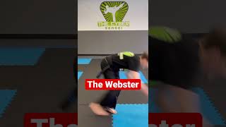 Celebrity How To Do A Front Flip Webster Profile