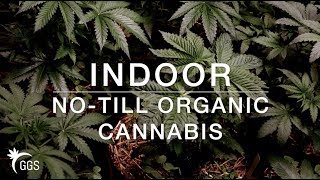 Mixing Light Spectrums & Gifted Genetics: Setting up the No-Till Living Organic Cannabis Garden