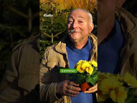 Vidéo YouTube