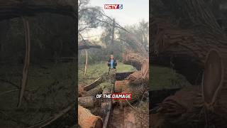 Debris cleanup from severe storms will continue in KCK for days #shorts