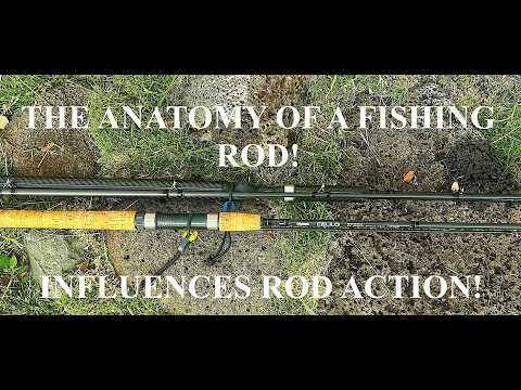 The Anatomy of How a Fishing Rod Influences Rod Action! - YouTube