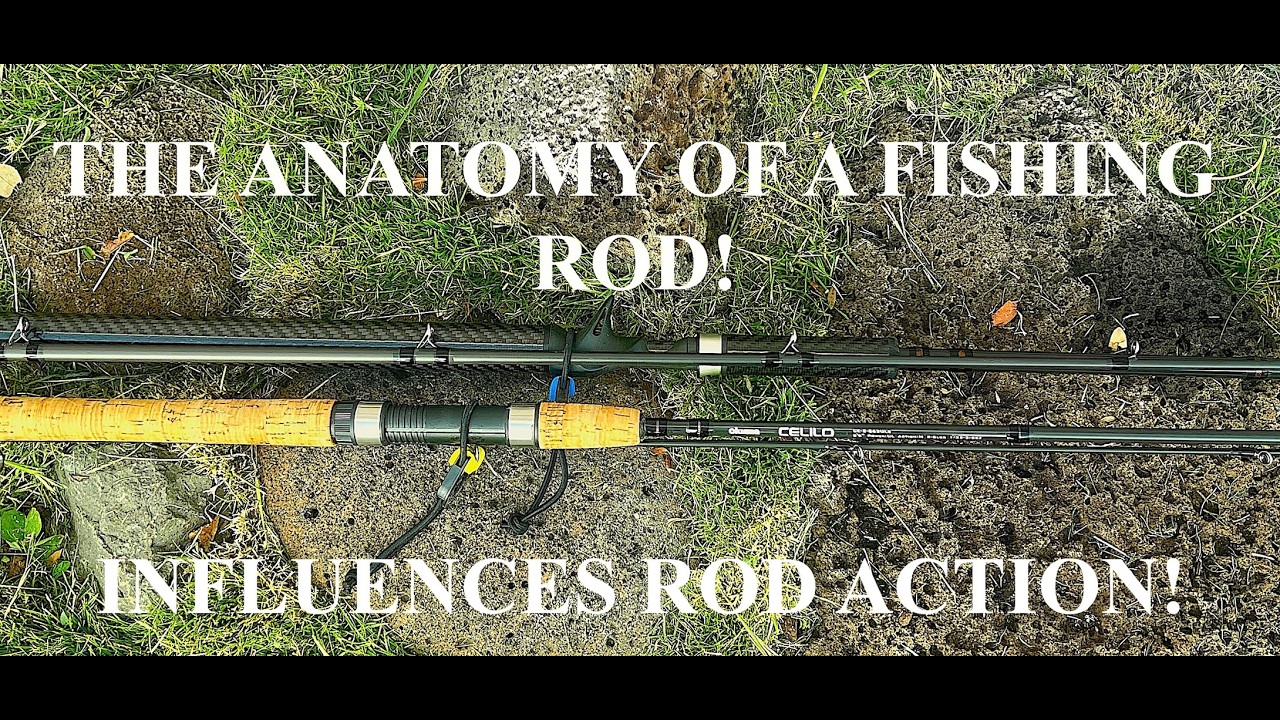 The Anatomy of How a Fishing Rod Influences Rod Action!