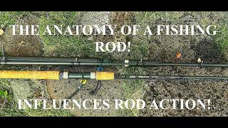 The Anatomy of How a Fishing Rod Influences Rod Action!