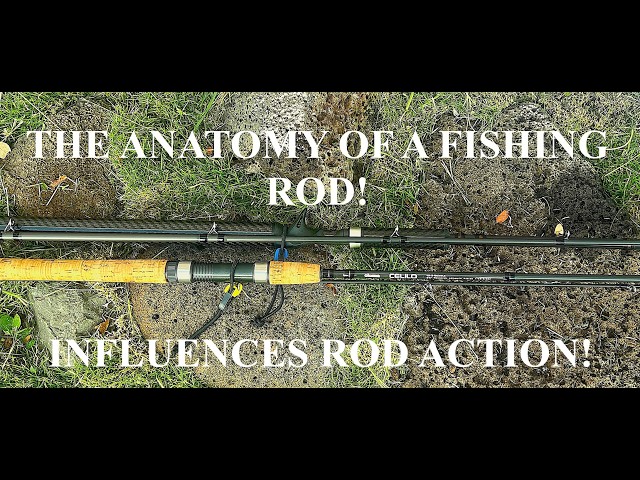 alabama fishing hook laws ALABAMA SALT WATER RULER 50 INCH FISH ID AND STATE REGULATIONS FISH RU –  Cajun Mapping