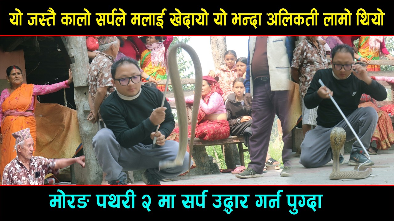 के के भने त सर्प उद्धार गर्दै गर्दा पानिको पाएपभित्र बसेको गोमन सर्प उद्धार गर्न मोरङको पथरी २ मा