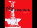 Echo and the Bunnymen - Forgotten Fields (2009)