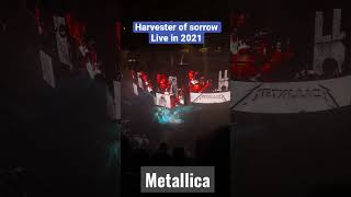 Metallica - Harvester of sorrow - Live 2021#shorts #metallicalive #harvesterofsorrow #shortsvideo