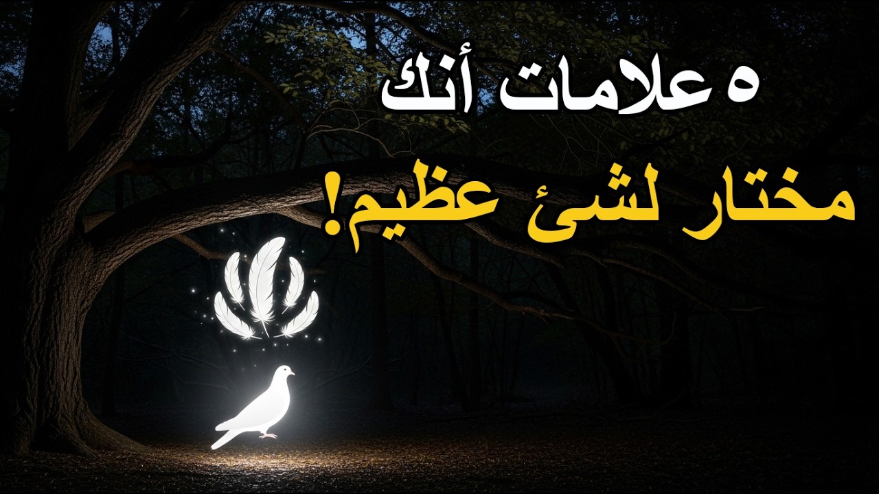 5 علامات أنك مختار لشئ عظيم