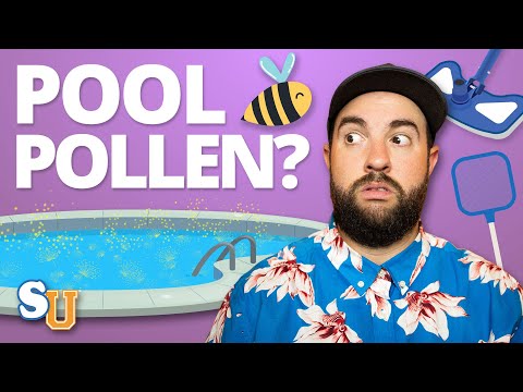 How to Get Rid of POLLEN in Your POOL