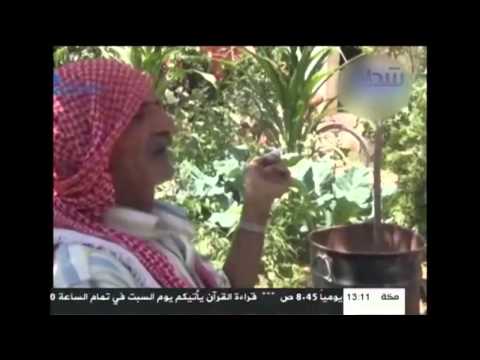 تقرير المشاتل الزراعية في الغوطة الشرقية على قناة شدا 25 6 2015