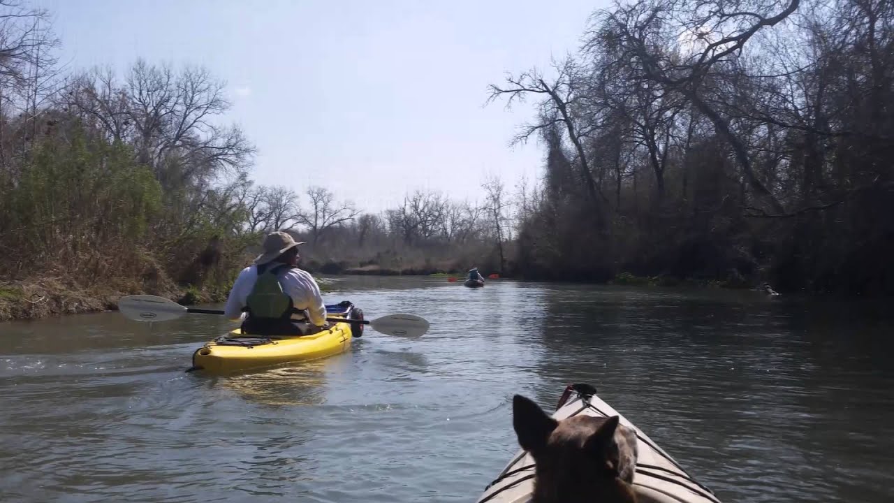 20150214 Kayak San Marcos River Staples Dam to Fentress TX YouTube