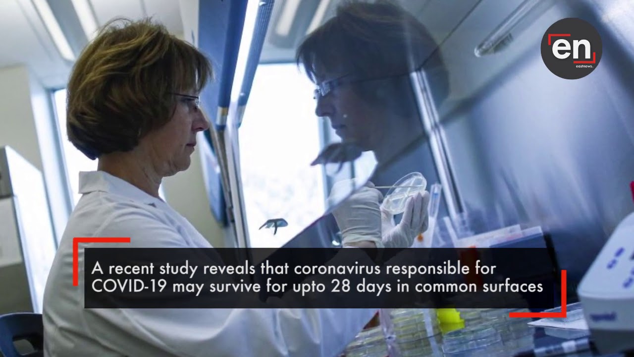 Coronavirus survives for 28 days on common surface