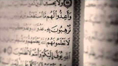 سورة التين: الشيخ محمد البراك،  تلاوة رائعه