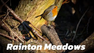 RAINTON MEADOWS NATURE RESERVE 25:7:24