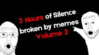 3 Hours of silence broken by memes vol. 2