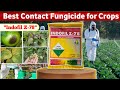 Indofil Z 78 Review Zineb 75 WP Best Contact Fungicide For Crops 