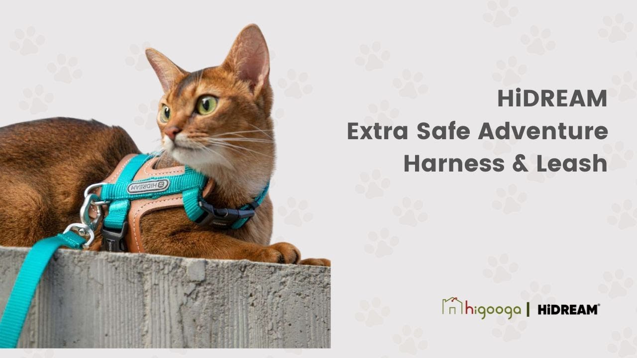 HiDREAM Extra Safe Adventure Harness & Leash