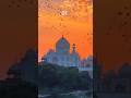 which is your favourite place in India #asthetic #travel #adventure #viralshorts