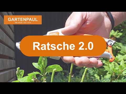 Die Gartenschere über die alle reden, Gartenpaul Ratsche 2.0 Hybridschere mit 4-fach Ratschenantrieb