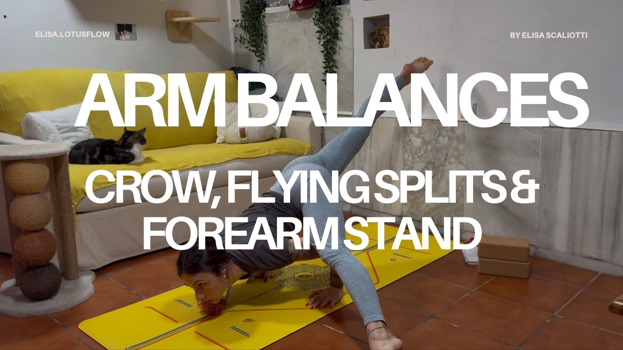 Trailer armbalance 12.04.2026