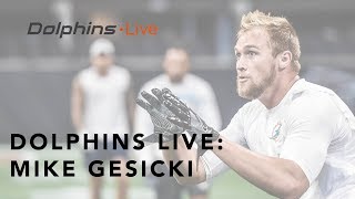 Mike Gesicki on his chemistry with the veterans | Miami Dolphins