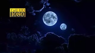 40 minutes  night fox  sound  for Deep sleeping,Relax naturel.lOng LifE RelAx MotivaTiOn Music. screenshot 3