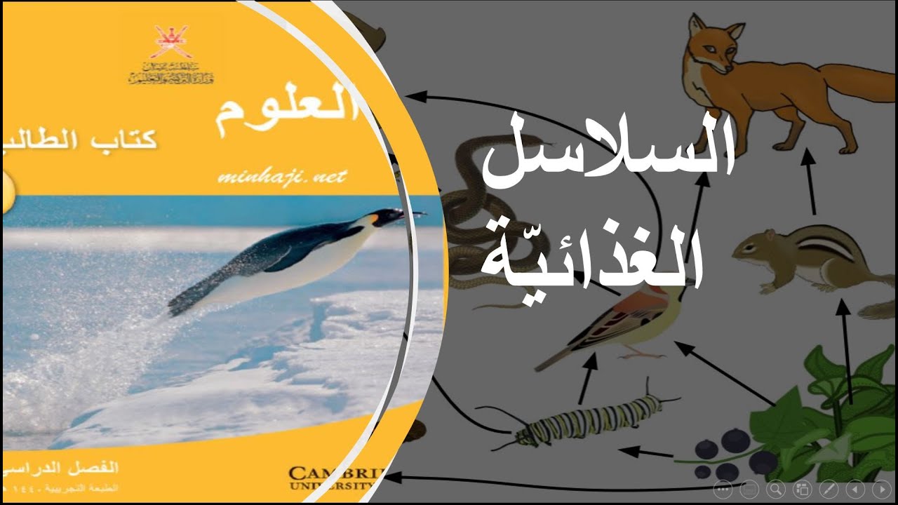 السلاسل الغذائية منهج كامبريدج الصف السابع الفصل الدراسي الثاني