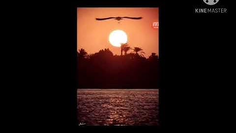 قال رسول الله صلى الله عليه وسلم( من قرأ سورة الكهف في يوم الجمعة أضاء له من النور مابين الجمعتين)