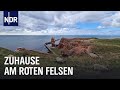 Neustart auf Helgoland | die nordstory | NDR Doku