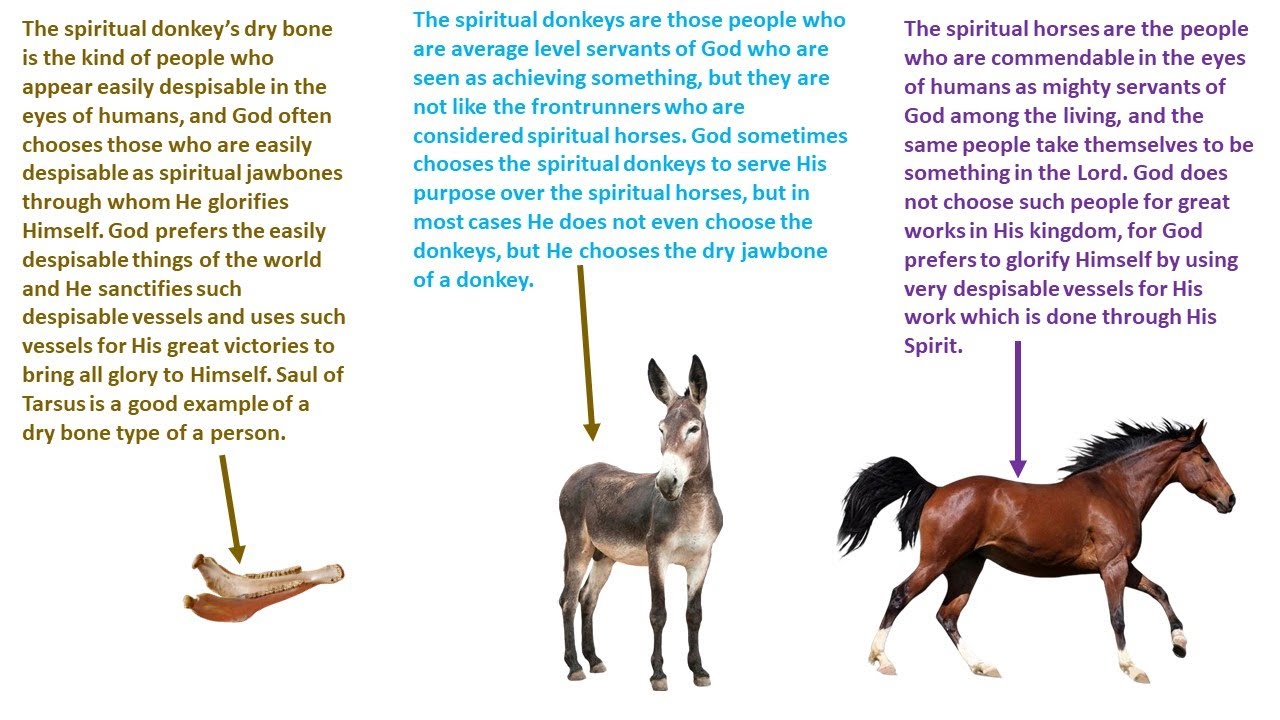 the Saul to Paul kind of dry bonish people